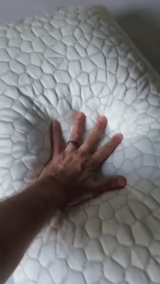 Svalepute